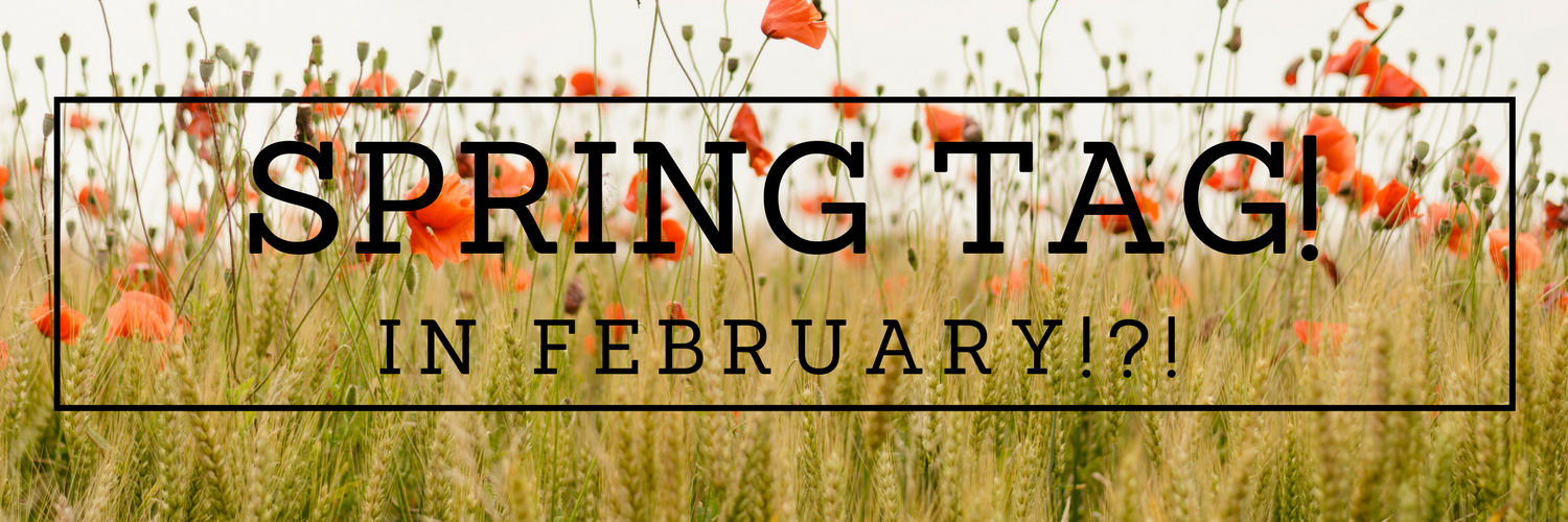 Spring Tag! – Fun Friday