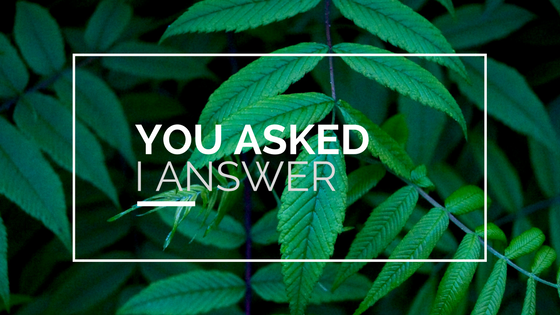 You asked, I answer!