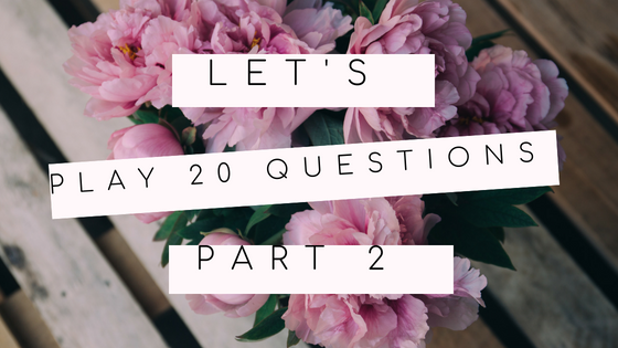 Let’s play 20 Questions part 2