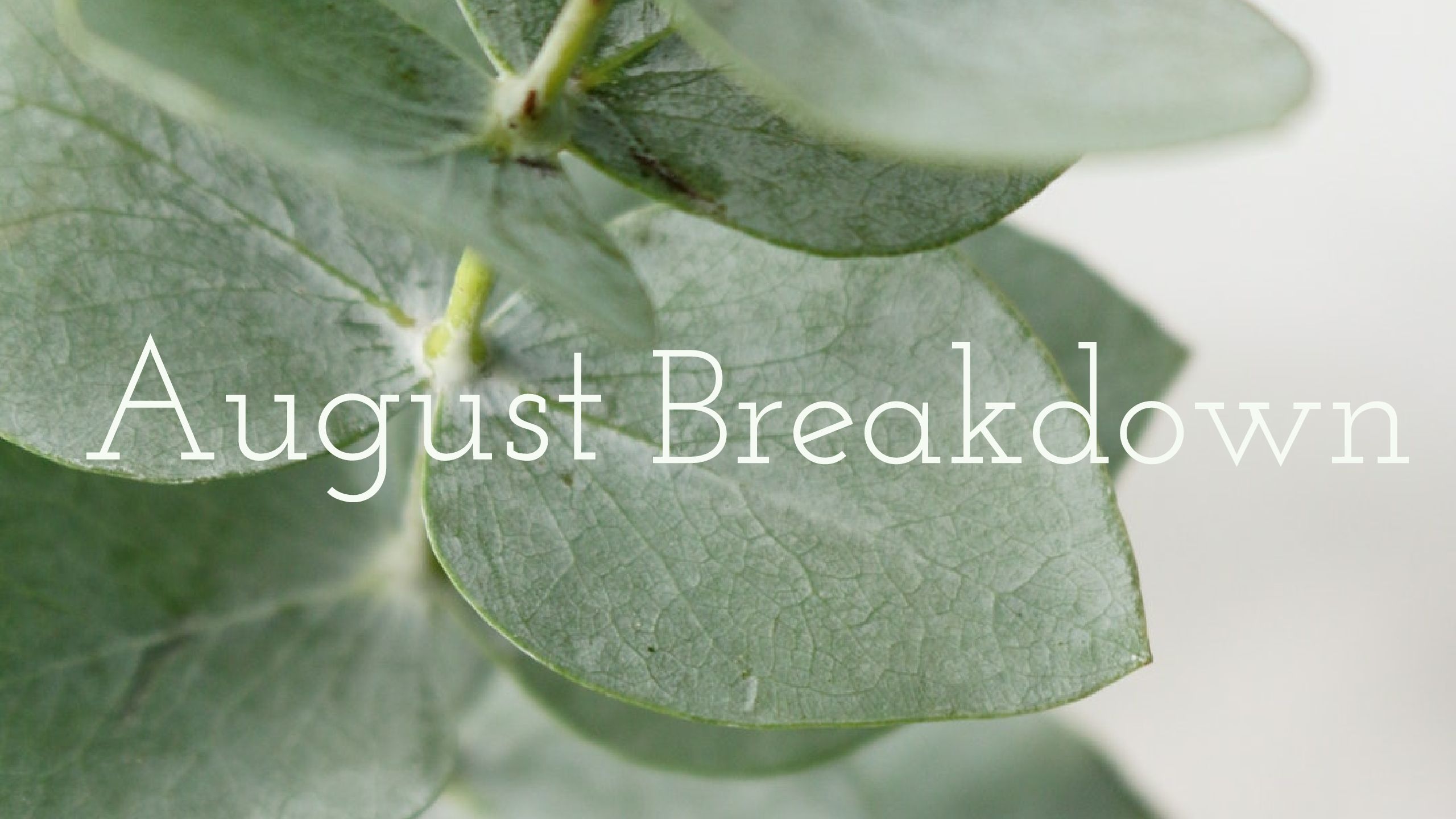 August Breakdown