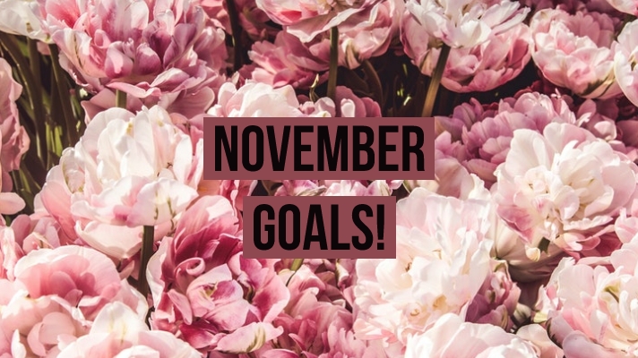 November goals!