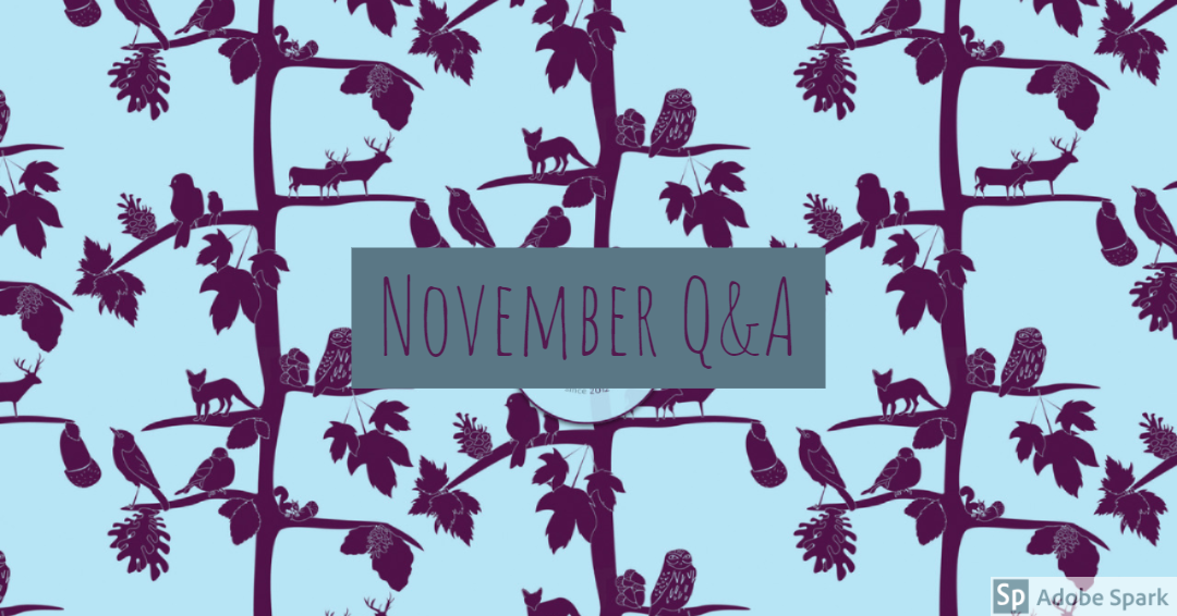 November Q&A