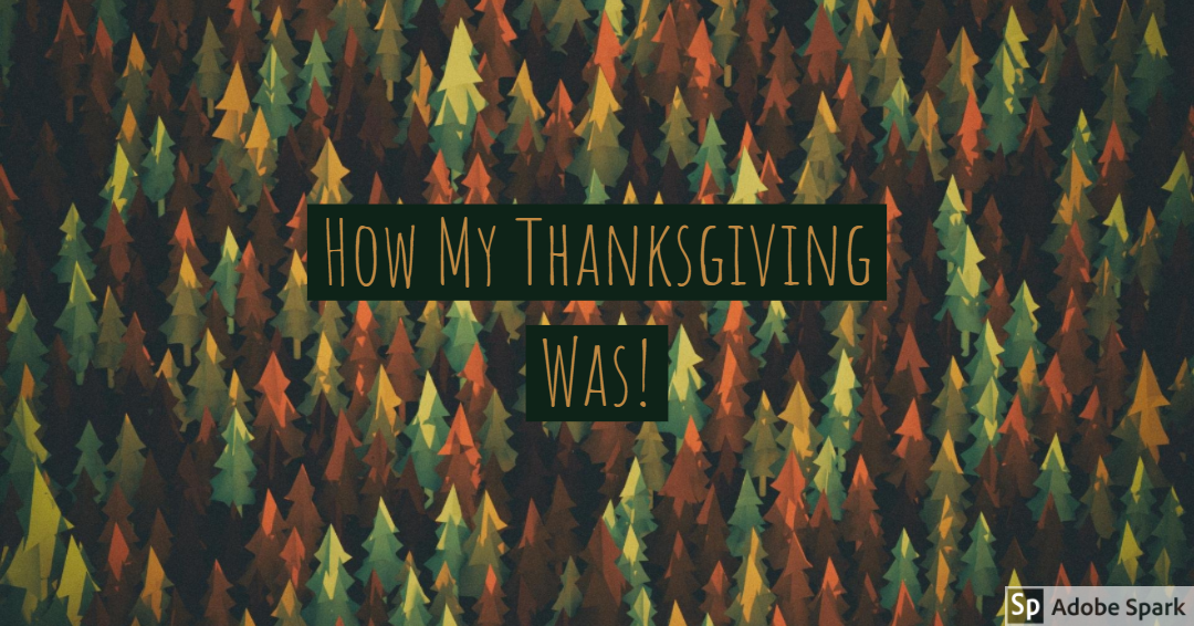 How my Thanksgiving was…